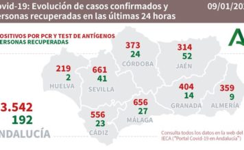 Datos Covid19 en Andalucía del 9 de enero de 2021