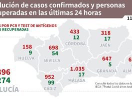 Datos Covid19 en Andalucía del 11 de enero de 2021