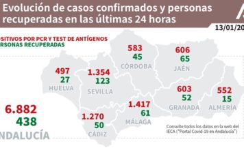 Datos Covid19 en Andalucía del 13 de enero de 2021