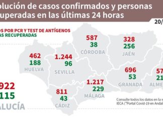 Información sobre Covid19 en Andalucía del 20 de enero de 2021