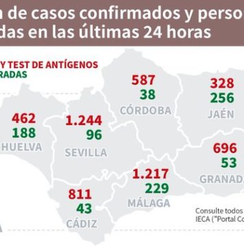 Información sobre Covid19 en Andalucía del 20 de enero de 2021