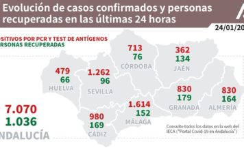 Información sobre Vacunación y Datos Covid19 en Andalucía del 24 de enero de 2021