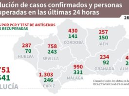 Información sobre Vacunación y Datos Covid19 en Andalucía del 26 de enero de 2021