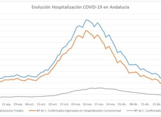 Datos Covid19 en Andalucía del 19 de enero de 2021