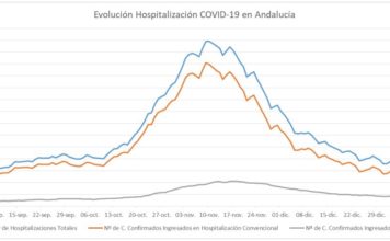 Datos Covid19 en Andalucía del 19 de enero de 2021