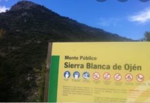 Plan de Sostenibilidad Turística para la Sierra de las Nieves