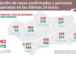 Información sobre Vacunación y Datos Covid19 en Andalucía del 8 de febrero de 2021