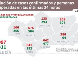 Información sobre Vacunación y Datos Covid19 en Andalucía del 12 de febrero de 2021
