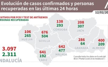 Información sobre Vacunación y Datos Covid19 en Andalucía del 12 de febrero de 2021