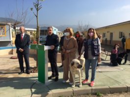 El Consejo de Gobierno iniciará en marzo el trámite de la nueva Ley de Bienestar Animal