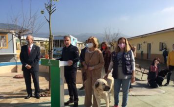 El Consejo de Gobierno iniciará en marzo el trámite de la nueva Ley de Bienestar Animal