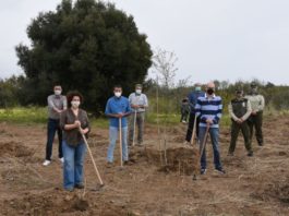 Desarrollo Sostenible inicia hoy los actos para conmemorar el 28F con la plantación simbólica de especies autóctonas en Málaga
