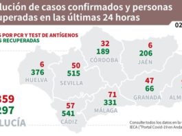 Información sobre Vacunación y Datos Covid19 en Andalucía del 2 de marzo de 2021