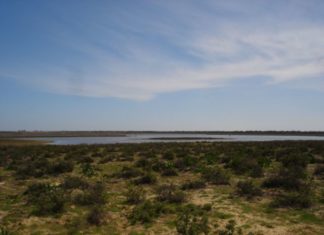 Desarrollo Sostenible pone en marcha más de 440 iniciativas en 22 parques y espacios naturales de las 8 provincias andaluzas
