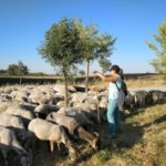 Convalidado el Decreto-ley de medidas urgentes para el fomento de los usos silvopastorales del monte para la prevención de incendios La Asociación Pastores por el Monte Mediterráneo, en el marco del Proyecto MADRE- Sierra de las Nieves, forma a los ganaderos y agricultores del Parque Nacional Sierra de las Nieves