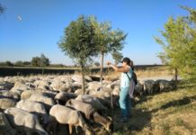 La Asociación Pastores por el Monte Mediterráneo, en el marco del Proyecto MADRE- Sierra de las Nieves, forma a los ganaderos y agricultores del Parque Nacional Sierra de las Nieves