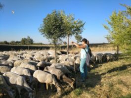Abierto el plazo para inscribirse en la Escuela de Pastores de Andalucía de 2021 La Asociación Pastores por el Monte Mediterráneo, en el marco del Proyecto MADRE- Sierra de las Nieves, forma a los ganaderos y agricultores del Parque Nacional Sierra de las Nieves