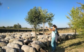 La Asociación Pastores por el Monte Mediterráneo, en el marco del Proyecto MADRE- Sierra de las Nieves, forma a los ganaderos y agricultores del Parque Nacional Sierra de las Nieves