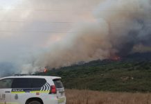 La Policía Autonómica detiene a un hombre como presunto autor de un incendio en la Sierra del Pedroso, en Archidona