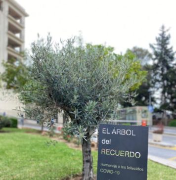 El Hospital Regional de Málaga homenajea a las víctimas de la Covid19 y a quienes lucharon contra el virus con la inauguración del «Árbol del Recuerdo»