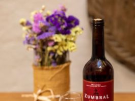 I Ruta de los Vinos de Málaga