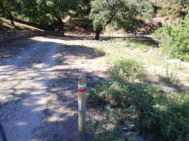 La Gran Senda de la Serranía gana en atractivo con la reapertura de la etapa que une Alpandeire y Ronda