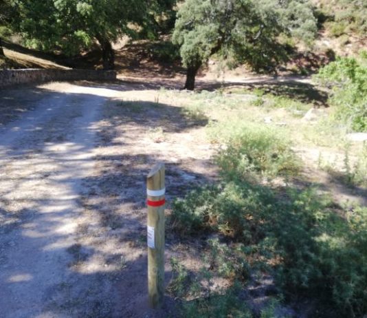 La Gran Senda de la Serranía gana en atractivo con la reapertura de la etapa que une Alpandeire y Ronda
