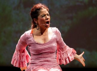 La OFM inaugura los jardines de La Térmica este verano con un programa de flamenco sinfónico