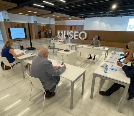 Del Pozo anuncia que el Museo del Sitio de los Dólmenes abrirá en septiembre con visitas guiadas