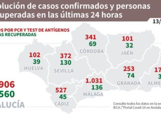 Actualización de datos Covid-19 y Vacunas en Andalucía del 13 de julio