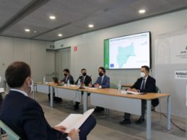La Junta saca a información pública el Plan de Transporte Metropolitano del Área de Málaga