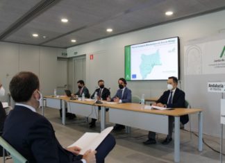 La Junta saca a información pública el Plan de Transporte Metropolitano del Área de Málaga