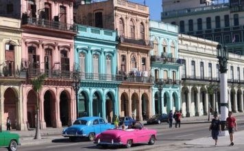 Lechugas y opiniones