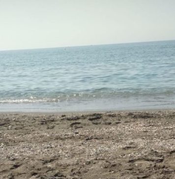 Pescadores a la orilla de la playa