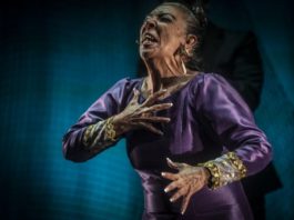 La Diputación reconocerá la trayectoria de La Repompa esta noche en la inauguración de la VII Bienal de Arte Flamenco de Málaga
