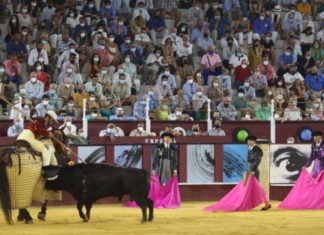 Corrida de toros Picassiana en La Malagueta