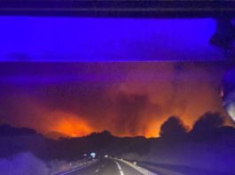 CCOO denuncia la inacción de la Diputación Provincial y de la Junta de Andalucía en la prevención de incendios forestales originados en las carreteras de Málaga