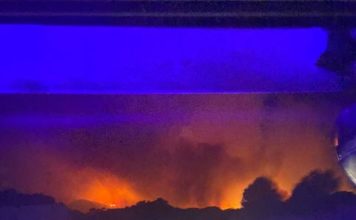 CCOO denuncia la inacción de la Diputación Provincial y de la Junta de Andalucía en la prevención de incendios forestales originados en las carreteras de Málaga