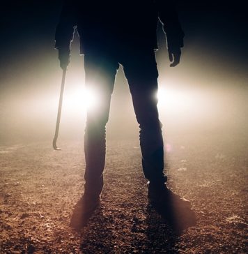 «La seguridad ciudadana en la pandemia y la conciencia y educación social.»