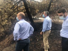 Salado visita las zonas más afectadas por el incendio y anuncia que los técnicos de Medio Ambiente y Carreteras ya valoran los daños