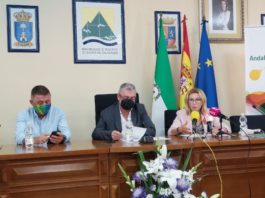 Empleo abre nueva convocatoria de ayudas para Ayuntamientos y Entidades Privadas sin ánimo de lucro para formar y contratar a 325 desempleados malagueños