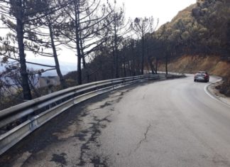 La Diputación pone en marcha el arreglo de las carreteras provinciales afectadas por el incendio de Sierra Bermeja