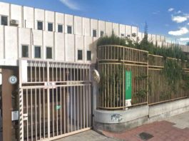 El personal técnico andaluz de la Orientación Profesional se erige en Sindicato