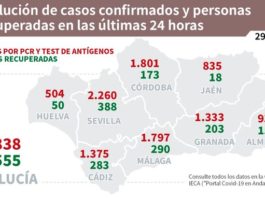 Evolución Covid, Vacunas y Niveles por Distritos Sanitarios 29 diciembre 2021