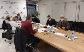 La Mesa Apícola de Andalucía acuerda crear un grupo de trabajo junto al sector para mejorar el diseño de las convocatorias de subvenciones