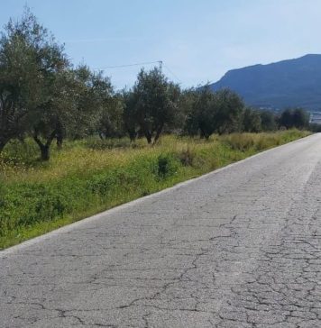 Muere un joven de 19 años tras salirse su vehículo de la carretera en Alhaurín el Grande