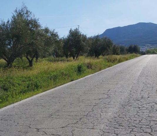 Muere un joven de 19 años tras salirse su vehículo de la carretera en Alhaurín el Grande