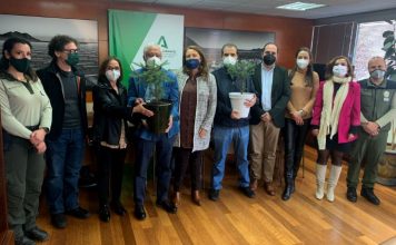 Carmen Crespo hace entrega de dos pinsapos de Sierra Bermeja a la familia de Carlos Martínez