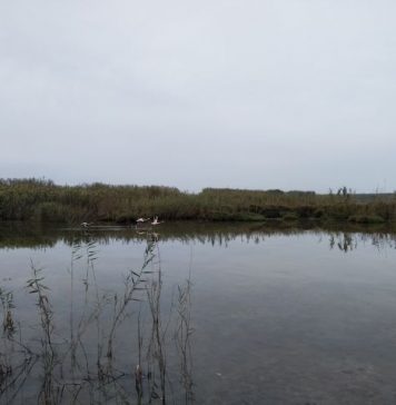 Conservación de los humedales