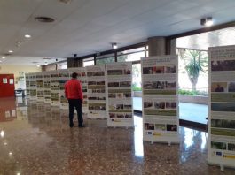 La delegación de Desarrollo Sostenible expone ‘Compartiendo soluciones’